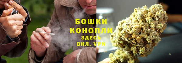 COCAINE Каменка