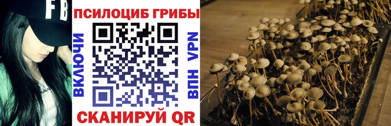 Псилоцибиновые грибы GOLDEN TEACHER  Серпухов 